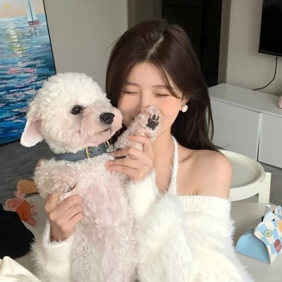 最后的教父海报